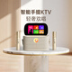 TIPDOER智能手提KTV麥克風(fēng)話筒音響一體智能K歌音箱家庭KTV音響套裝戶外唱歌直播錄歌觸屏點歌機藍(lán)牙音箱 智能手提KTV【店鋪爆款】180W大音量