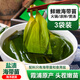 云山半鹽漬海帶苗200g*3袋頭茬新鮮幼嫩苗海帶芽絲結涼拌菜火鍋食材干貨