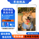 Apple蘋(píng)果 iPad Air1/Air2/Air3 迷你mini2/4/5 二手平板電腦ipad iPad mini2 16G WiFi版 9成新