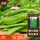 北蔬 荷蘭豆種子苗大莢甜脆扁豆豌豆蔬菜種籽 粉花盆栽荷蘭豆種子20g