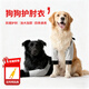 小野七天狗狗護肘衣狗狗護肘關(guān)節套護膝金毛拉布拉多護肘防臟神器四季通用