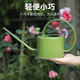 沃施（WORTH）簡(jiǎn)約綠色澆花神器澆水噴灑器澆花長(cháng)嘴壺水壺澆花家用灑水壺1L