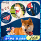 puppytie狗狗項圈三角巾脖圈柴犬中型小型犬 紅色 均碼