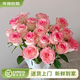 云南鮮花批發(fā)品質(zhì)玫瑰百合水養鮮切花送女友水養鮮花源頭直發(fā) 艾莎（鐵頭公主）-20支 【任選2件—不收運費】