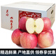 迭果陜北特產(chǎn)米脂蘋(píng)果山地紅富士蘋(píng)果脆甜多汁水果黃土高原 9斤帶箱一級果75-80mm 米脂蘋(píng)果