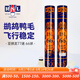 亞獅龍（RSL）羽毛球耐打日常比賽訓練羽球12只裝 定制款亞獅龍66號球 1筒 單筒裝