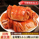 【活蟹】星河灣大閘蟹鮮活螃蟹全母蟹生鮮水產(chǎn)海鮮中秋國慶禮盒 精品全母蟹3.0-3.3兩 10只