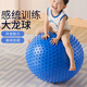 REXL兒童感統訓練大龍球瑜伽球嬰兒早教顆粒加厚防爆平衡球大氣球 【環(huán)保無(wú)味】藍色（加厚防爆） 55cm (身高75cm以下)