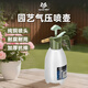 沃施（WORTH）園藝噴壺澆花水壺家用氣壓噴消毒消殺噴霧器噴霧澆水壺神器2L