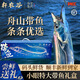 軒農谷小眼釣帶魚(yú)禮盒舟山釣帶整條東海帶魚(yú)特大號小眼帶魚(yú)特級帶魚(yú) 【6-8兩/條】3.5斤 熱賣(mài)｜禮盒裝