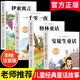 安徒生童話(huà)格林童話(huà)正版全集伊索寓言一千零一夜正版小學(xué)版注音版一年級二年級三年級閱讀拼音兒童故事書(shū)小學(xué)生課外閱讀書(shū)籍 【全套4冊】安徒生+格林+伊索寓言+一千零一夜