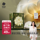 babycare山茶花防溢乳墊 一次性超薄柔軟透氣防溢乳貼乳墊 120片