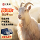 羊家旺羊肉寧夏灘羊肉30斤山羊整只白山羊新鮮現宰中秋禮盒源頭直發(fā)