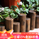 花沃里碳化防腐木柵欄(高25/30圓柱款)實(shí)木圍欄草坪裝飾花園護欄籬笆