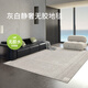 賽波斯白沙灘防水無(wú)膠地毯抗污抗菌高級感輕奢風(fēng)現代客廳防貓抓2.4X3.5M