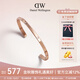 丹尼爾惠靈頓（DanielWellington）DW手鐲女閃耀星辰情侶手鐲生日禮物送女友DW00400531