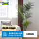 宜家（IKEA）菲卡人造盆栽植物室內/戶(hù)外Kentiapalm客廳室內/戶(hù)外裝飾 人造盆栽植物23cm