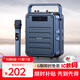 山水（SANSUI）Q7無(wú)線(xiàn)藍牙音箱戶(hù)外大音量廣場(chǎng)舞音響手提便攜式小型家用K歌音樂(lè )播放器地攤擺攤收款喇叭 單麥版