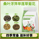 吾家余堂桑葉浮萍旱蓮草菊花各15克組合中藥材獨立包裝煮水紅花霜桑葉浮萍 【一袋30包】桑葉浮萍旱蓮草菊花