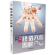【正版新書(shū)】現貨 3D經(jīng)絡(luò )穴位圖解 書(shū)中收納十二正經(jīng)腧穴、任督二脈腧穴、經(jīng)外奇穴共400多個(gè)，解剖圖示與真人取穴精準對照，精準呈現穴位位置！