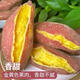 領(lǐng)麥鮮山東板栗蜜薯農場(chǎng)直發(fā)濟薯26沙地種植地瓜 山東板栗薯帶箱5斤裝 凈重4.5斤 中大果（單果重3兩以上）