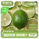 京鮮生 塔西提無(wú)籽青檸檬10粒裝 單果50g+ 生鮮水果源頭直發(fā)包郵