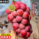 【順豐冷鏈】當季現摘云南妮娜皇后葡萄 新鮮水果提子紅提 1000g