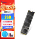 威剛（ADATA） XPG SSD固態(tài)硬盤(pán) M.2接口(NVMe協(xié)議)XPG翼龍S20 LEG-710 PCIE4.0 SSD 支持組裝電腦筆記本加裝 XPG翼龍S20 512GB