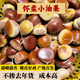 北京懷柔油栗子生新鮮2025新貨黑山寨特產(chǎn)板栗非遷西栗子水果 2.5kg 老樹(shù)中果(60-70/斤)生吃脆甜熟吃粉糯