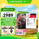希捷（SEAGATE）NAS硬盤 16TB 256MB 機(jī)械硬盤 CMR垂直 靜音低耗 數(shù)據(jù)恢復(fù)服務(wù) 3.5英寸 希捷酷狼 ST16000VN001