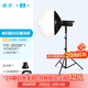 南光（NANLITE）FS-300B雙色溫直播補光燈 室內影棚平面人像攝影燈 大功率視頻led常亮燈 專(zhuān)業(yè)高顯色拍攝燈 FS-300B+650柔光球+燈架
