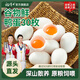 楊博士【端午節禮物】新鮮鴨蛋溪水放養鴨蛋正宗農家散養現撿鮮鴨蛋30枚 【主推爆款】30枚