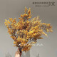 元族茉澈侘寂風(fēng)油畫(huà)霧凇·仿真植物假花擺設花藝擺件桌面花瓶插花裝飾 淺色魅力】姜黃-葉色凇枝五頭*3【