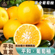 南步福建黃金葡萄柚 平和黃金柚子爆汁蜜柚子橙西柚榨汁新鮮酸甜水果 2斤 優(yōu)選花皮果【單果200g+】