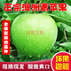 順豐青蘋(píng)果山西果園澳洲引進(jìn)品種新鮮水果孕婦高酸應季低糖榨汁 4.5斤 泡沫托普通快遞