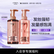 歐萊雅活力姜洗發(fā)水護發(fā)素強韌發(fā)絲洗發(fā)露生姜洗護套裝440ml*2