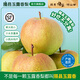 隰縣玉露香梨 【順豐現貨】整箱香梨當季水果山西隰縣小西天特產(chǎn) 孕婦水果送禮 9粒大果（凈重5-6斤）單果80+mm