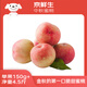 京鮮生 中秋蜜桃 凈重4.5斤 單果150g+  生鮮水果 源頭直發(fā)