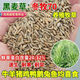 進(jìn)口黑麥草種子小粒多年生牧草耐寒冬牧70寬葉養殖牛羊兔鵝魚(yú)草籽 冬牧70黑麥草種子5斤[優(yōu)質(zhì)今年新種]