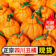 正宗四川不知火丑桔丑橘子水果新鮮應季批發(fā)耙耙柑5/9斤整箱桔子 帶箱9-10斤【果王】 10月為青黃皮 放置3-4天為黃皮