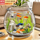 貝初眾魚(yú)缸小型魚(yú)缸圓形塑料缸仿玻璃一體生態(tài)桌面缸家用客廳金魚(yú)斗魚(yú)缸 輕巧高透魚(yú)缸21*16*17cm【中號】 高透pet仿玻璃材質(zhì) 裸缸 打不破 摔不碎 久用不糊