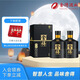 舍得智慧舍得 雙鼎紀念版 濃香型白酒 52度 500ml*2雙瓶裝 中秋節送禮