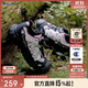 Champion冠軍男女兒童運動(dòng)鞋2025秋季新款親子旋轉扣戶(hù)外徒步登山洞洞涼鞋