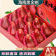 哆莫香海南黑金剛蓮霧果新鮮熱帶水果禮盒樹(shù)上熟一級蓮霧果節日禮盒裝 甄選A級果3斤【精美禮盒】