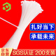 彩弘 3.6*200mm200支尼龍扎帶白色 收束理線(xiàn)大小號固定易拉得緊捆綁帶