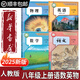 【新華書(shū)店正版】適用2025新版 人教版初中八年級上冊語(yǔ)文數學(xué)英語(yǔ)物理書(shū)全套4本人教版 八年級上冊課本全套書(shū)教材課本初二上冊語(yǔ)數英物課本人民教育八上人教語(yǔ)文書(shū)英語(yǔ)書(shū)教材 八年級上冊語(yǔ)文數學(xué)英語(yǔ)物理課本