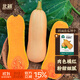 北蔬 南瓜種子種苗甜糯板栗紅心四季盆栽蔬菜種籽 奶油南瓜種子20粒