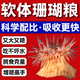 ?？暳夏套旌？汉鲗?zhuān)用營(yíng)養糧緩沉型顆粒增艷發(fā)色促生長(cháng)不壞水 1瓶，235ml/瓶