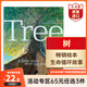【65元任選3件】英文繪本 英語(yǔ)啟蒙 親愛(ài)的動(dòng)物園好餓的毛毛蟲(chóng)我是小兔猜猜我有多愛(ài)你小玻在哪里 樹(shù) 一個(gè)關(guān)于生命周期的故事 英文原版繪本
