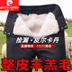 皮爾卡丹（pierre cardin）東北保暖防寒褲中老年100％羊毛一體褲子男士加絨加厚羊皮棉褲子 白色內膽 拼接款 2XL (155斤-175斤左右)